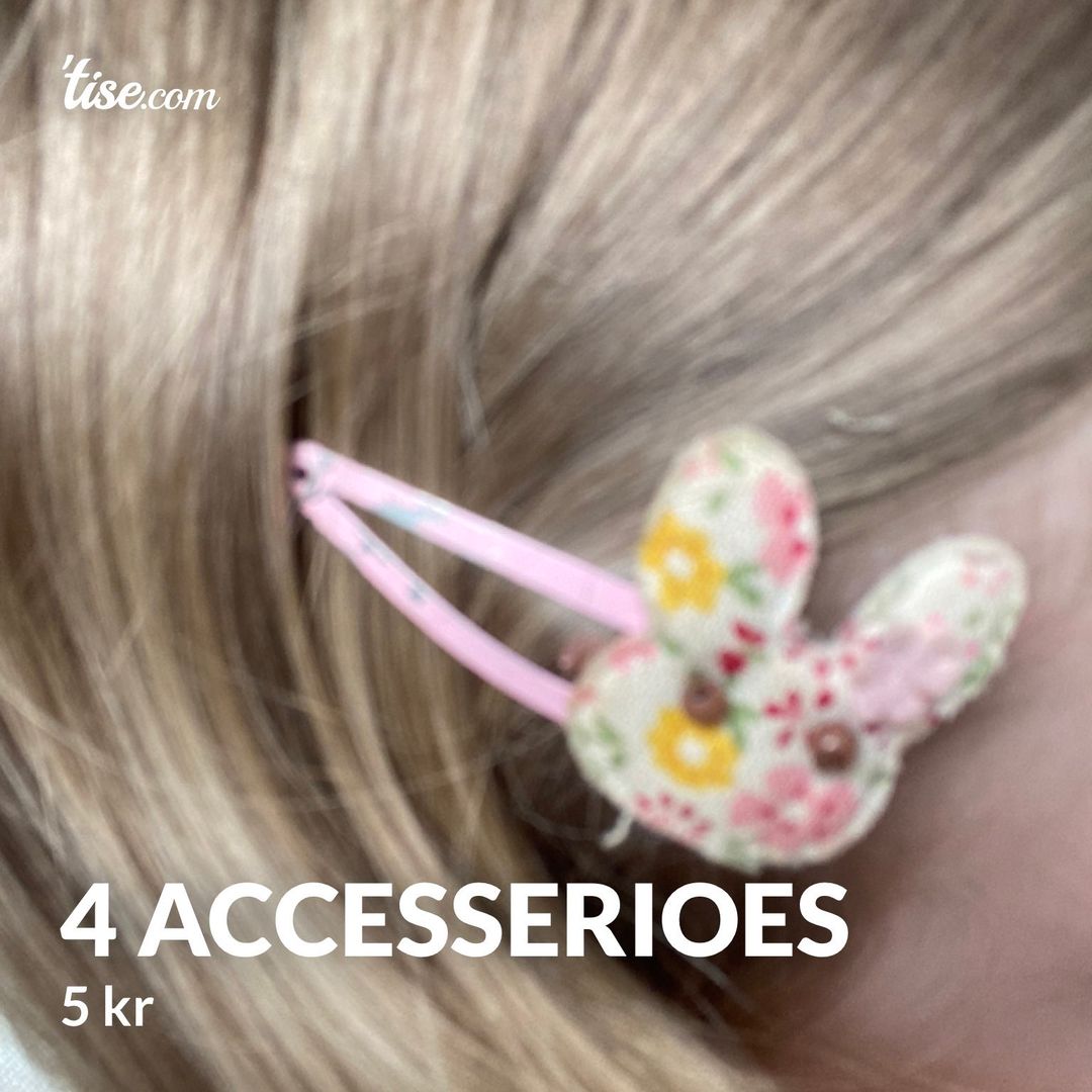 4 accesserioes