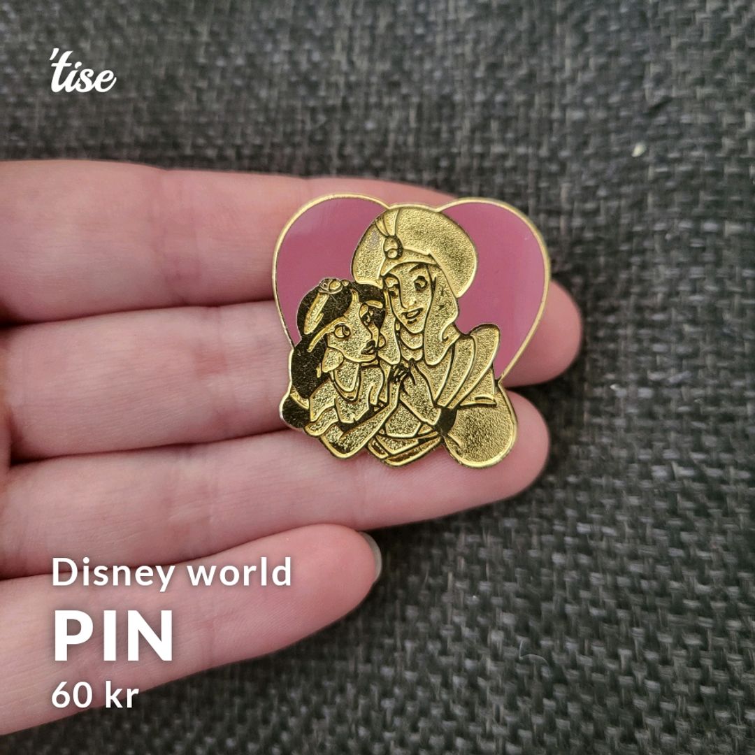 Pin