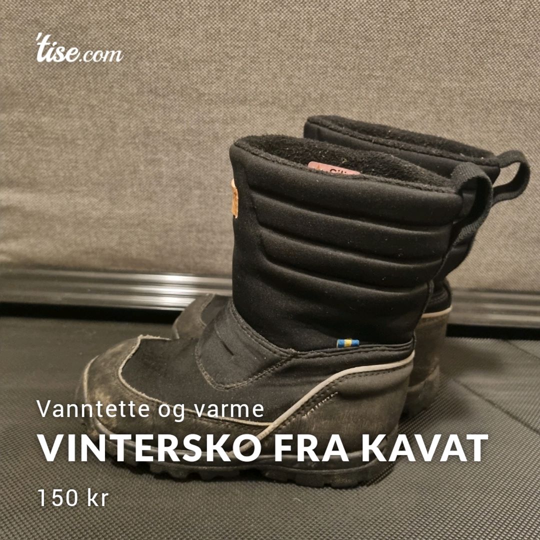 Vintersko Fra Kavat