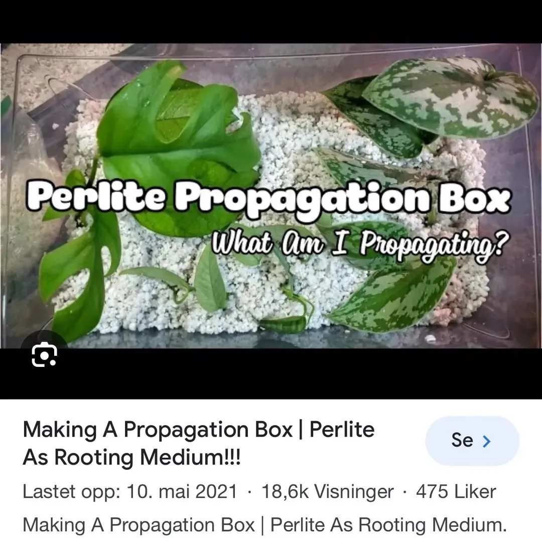 Perlite