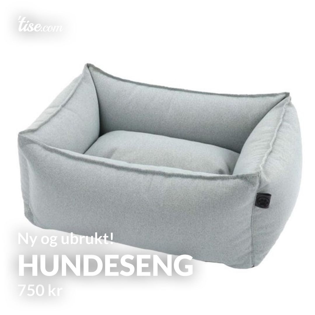 Hundeseng