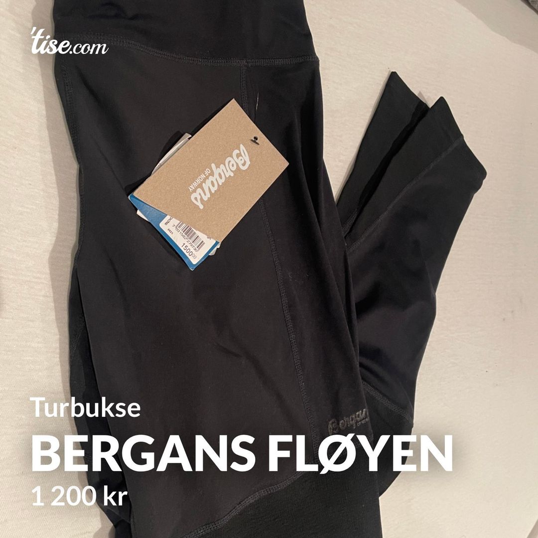 Bergans fløyen