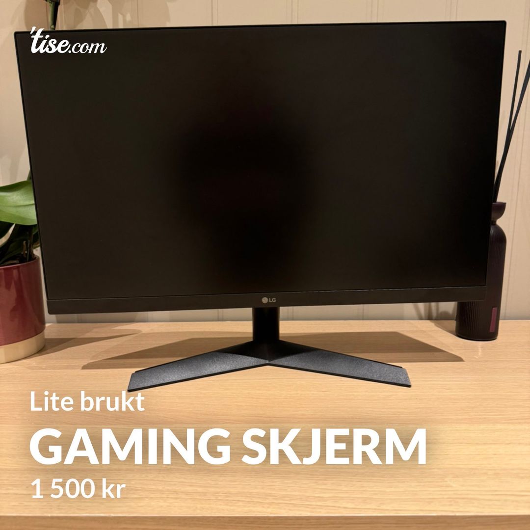 Gaming Skjerm