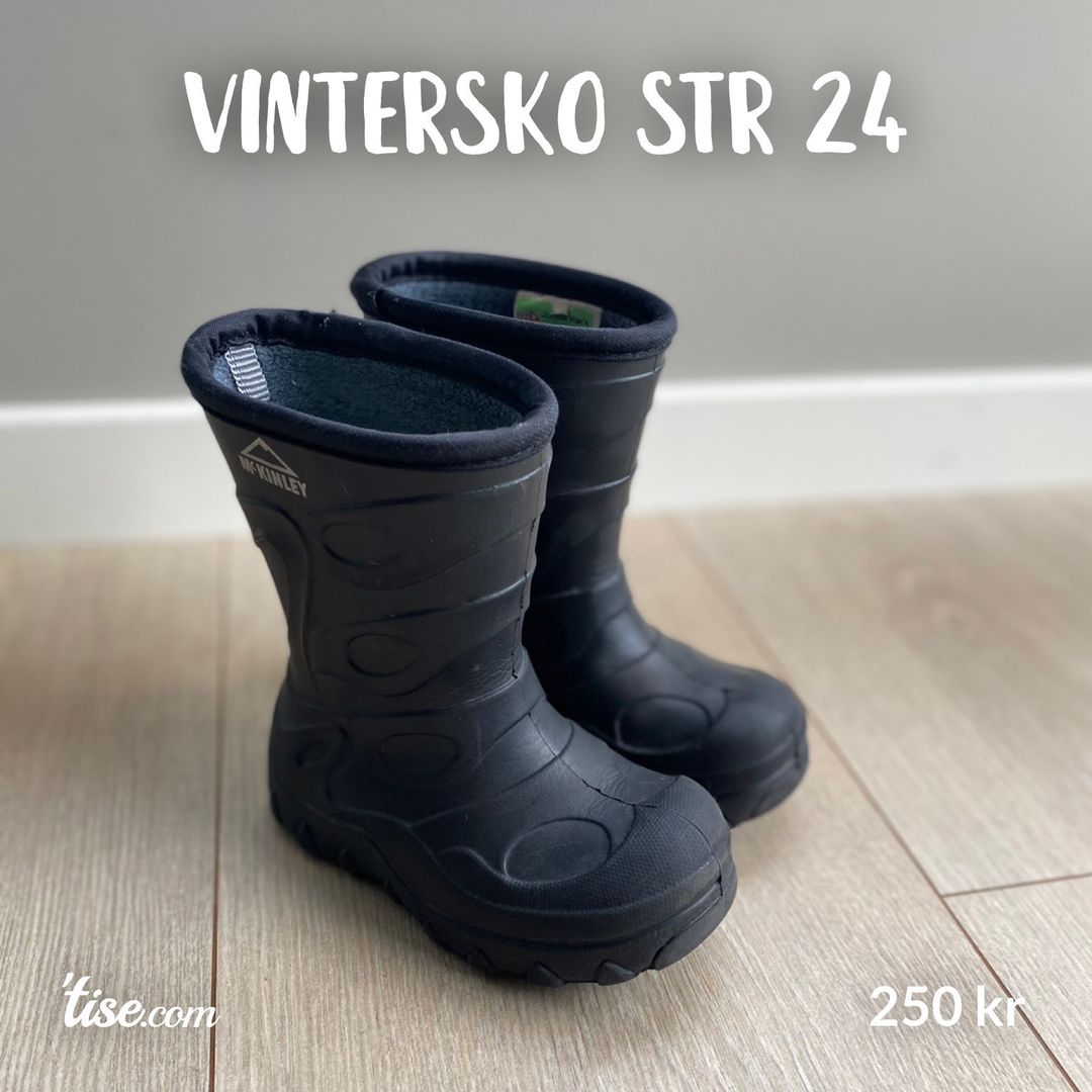 Vintersko str 24