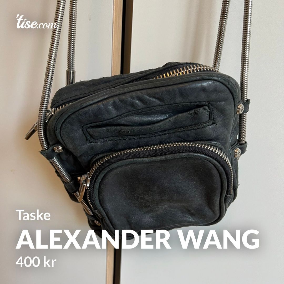 Alexander wang