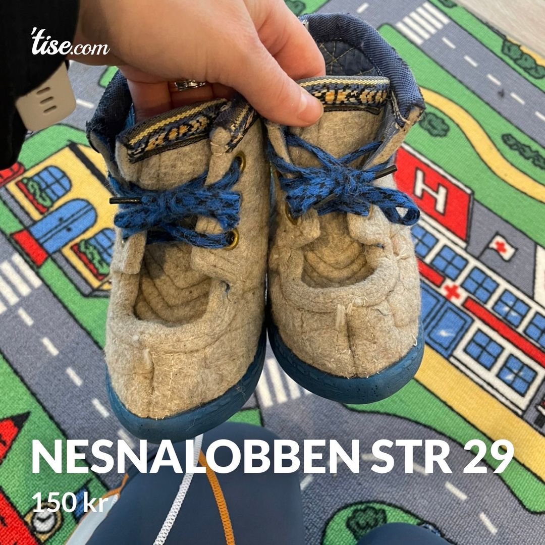 Nesnalobben str 29