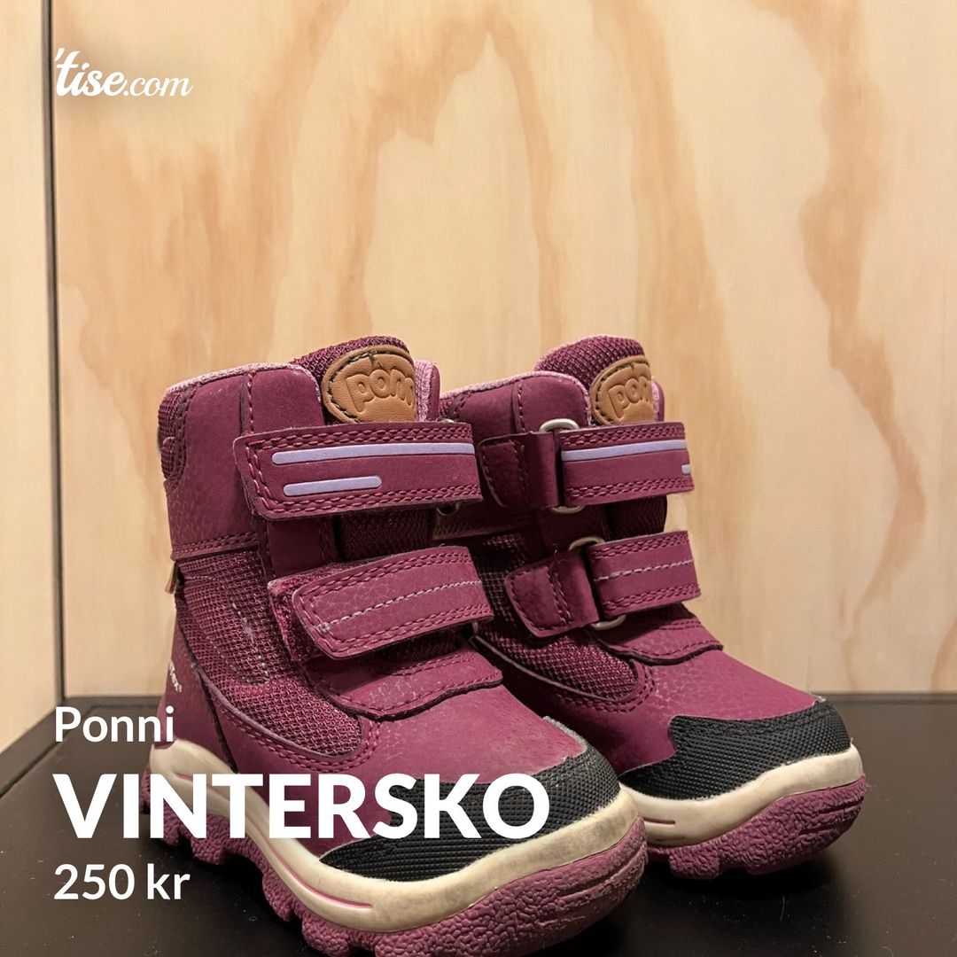 Vintersko