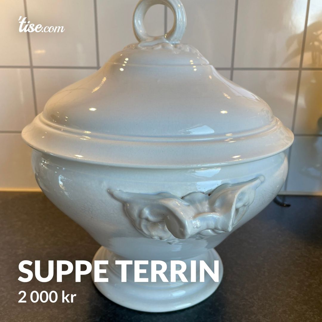 Suppe terrin