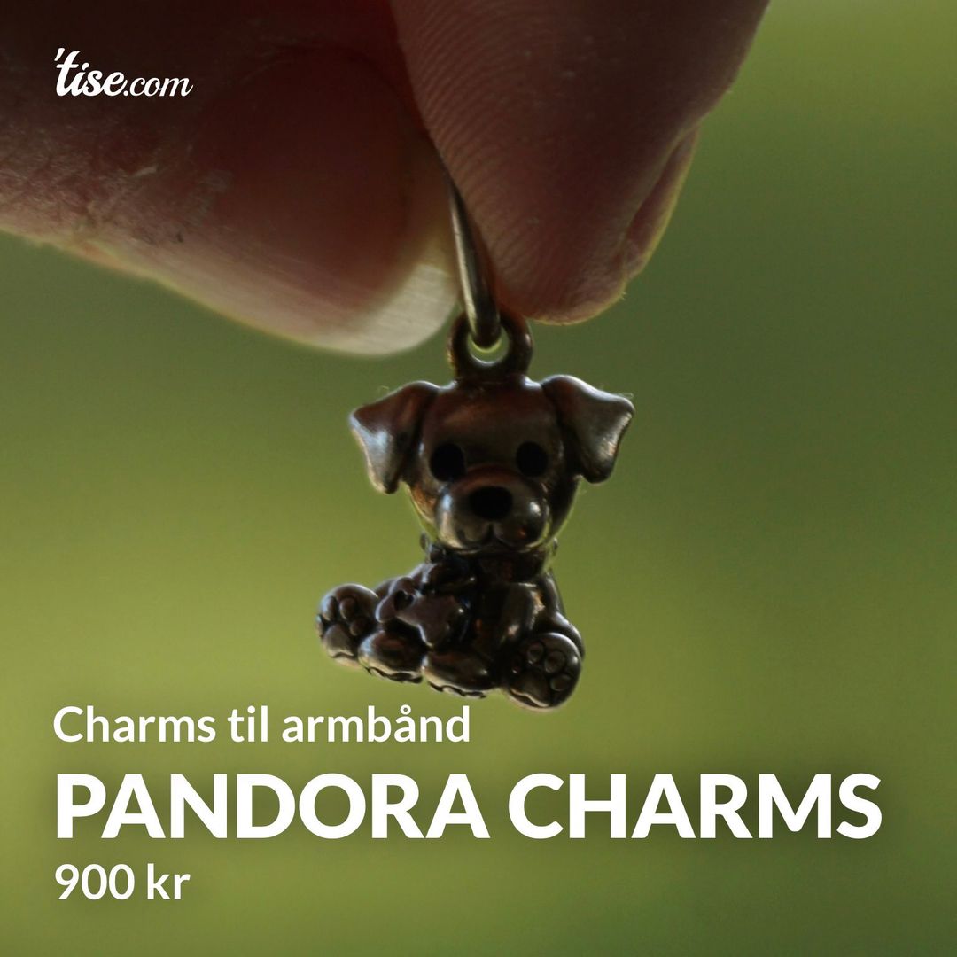 Pandora charms