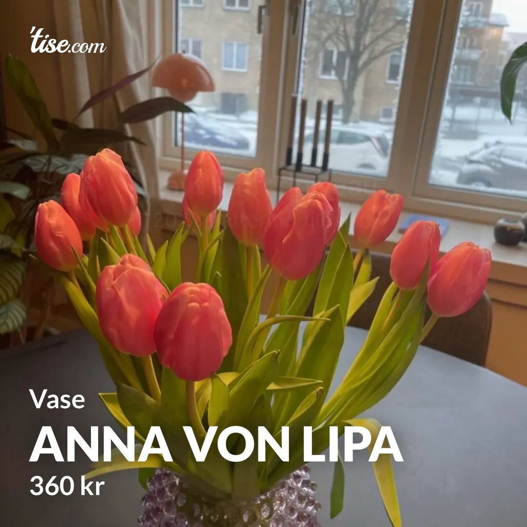 Anna Von Lipa