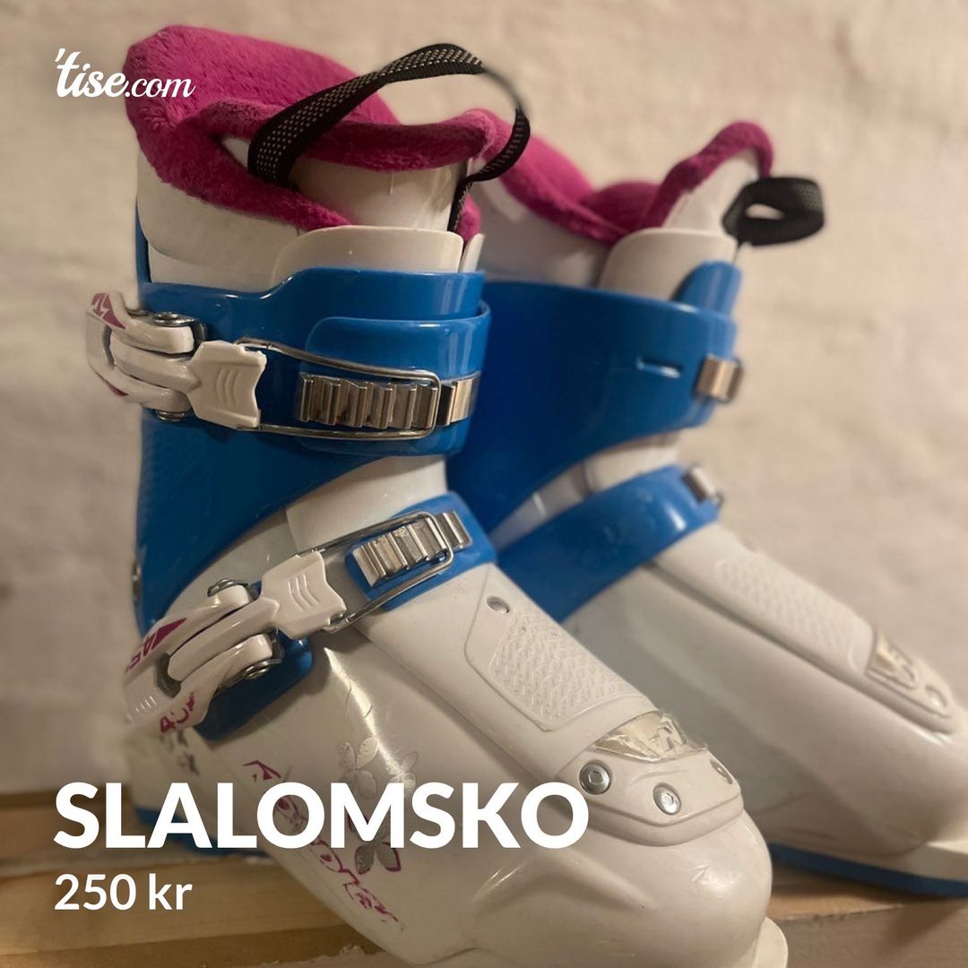 Slalomsko