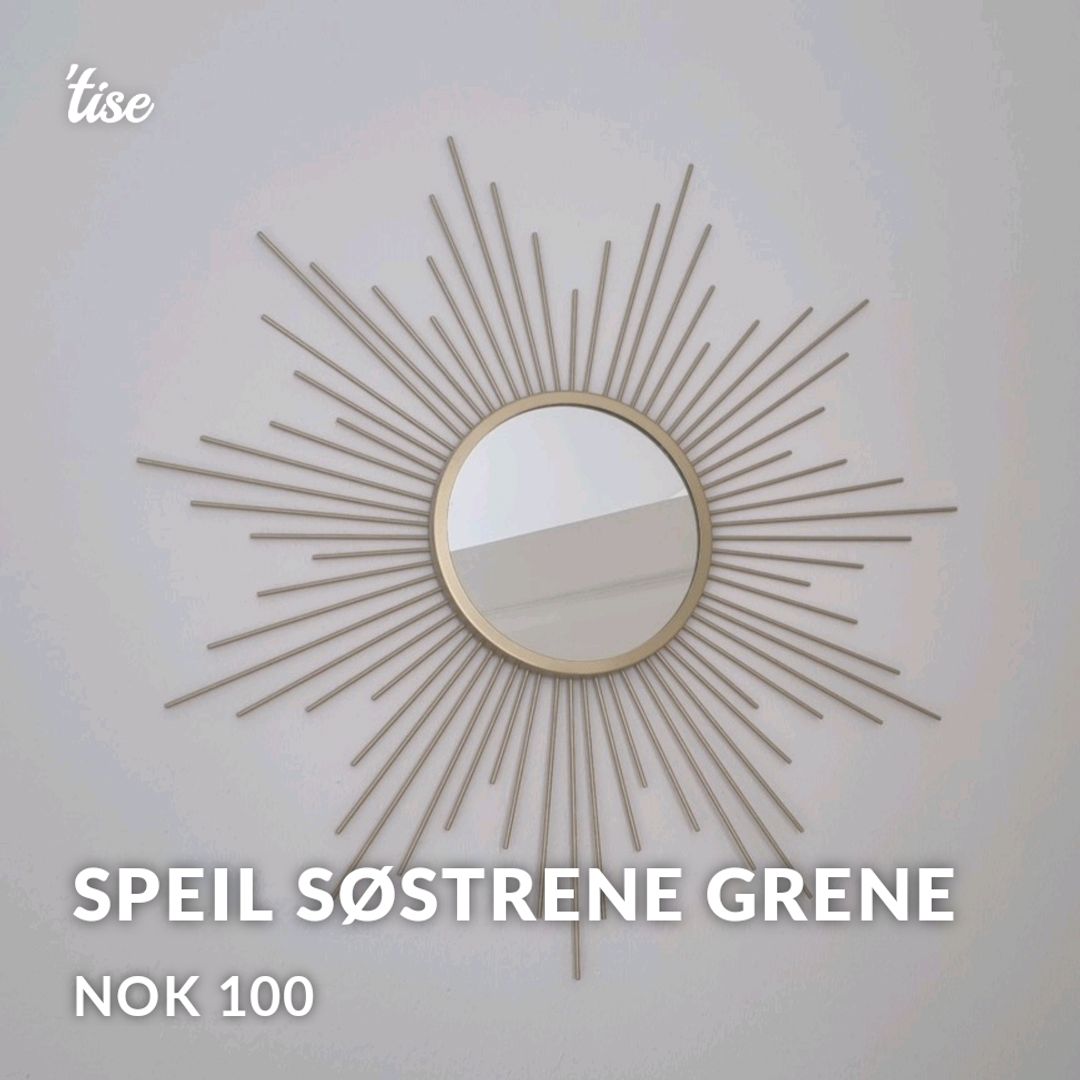 Speil Søstrene Grene