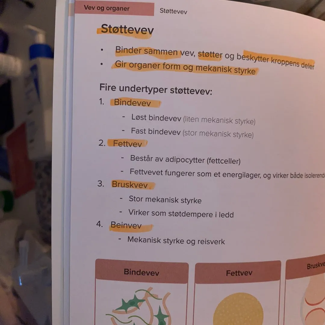 Anatomifysiologi bok