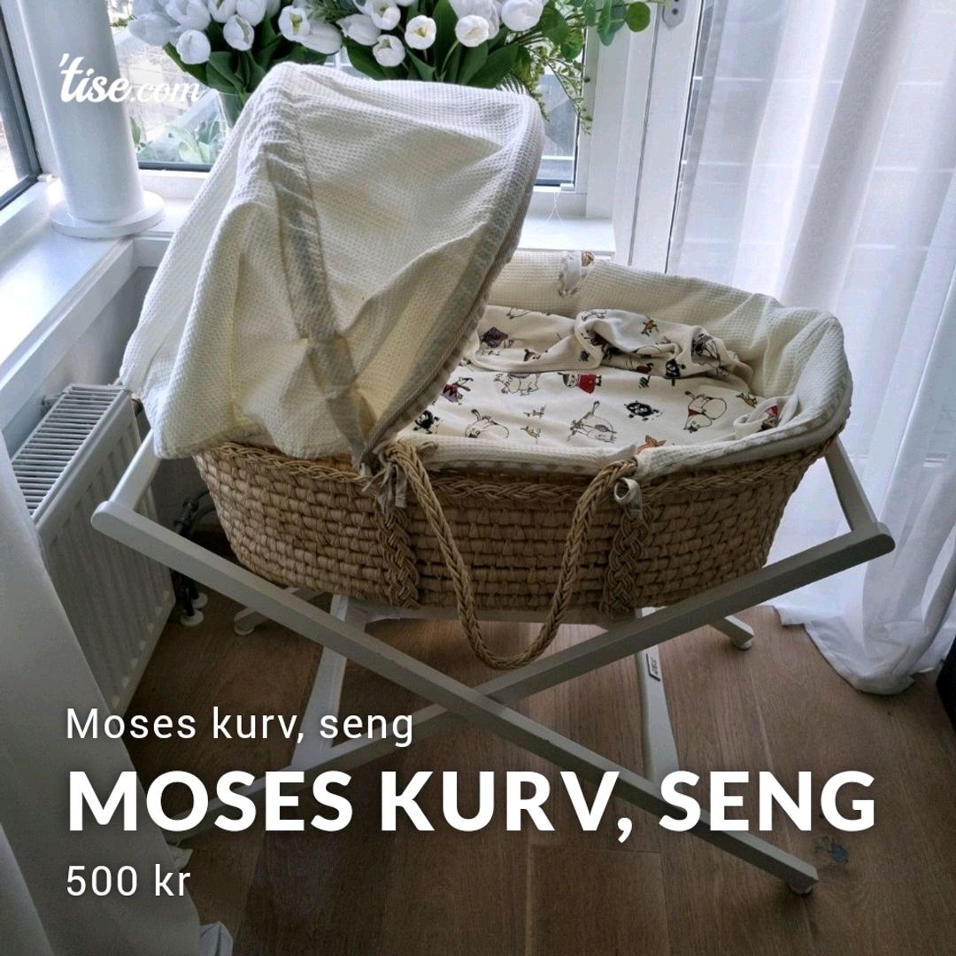 Moses Kurv Seng