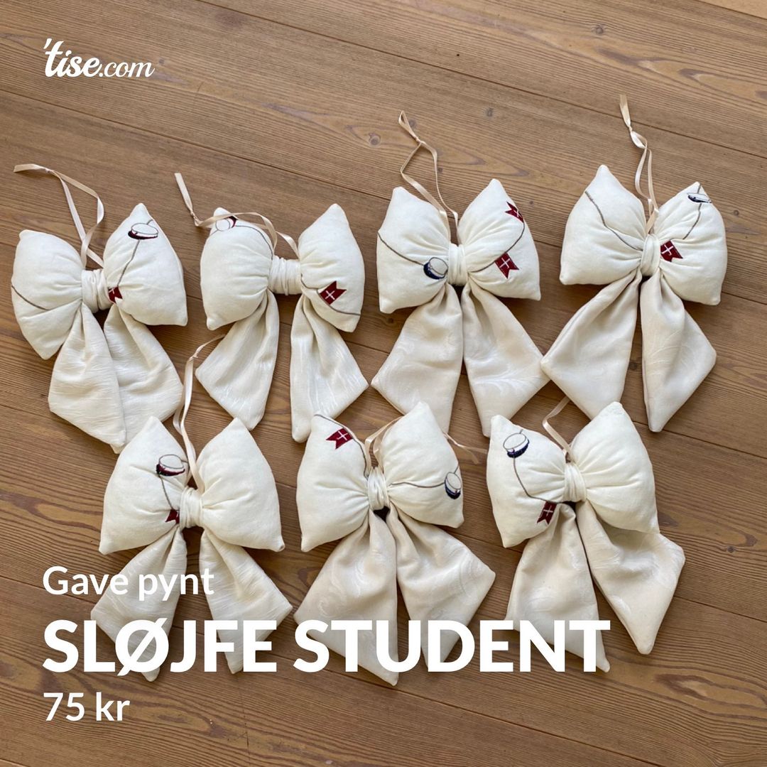 Sløjfe student