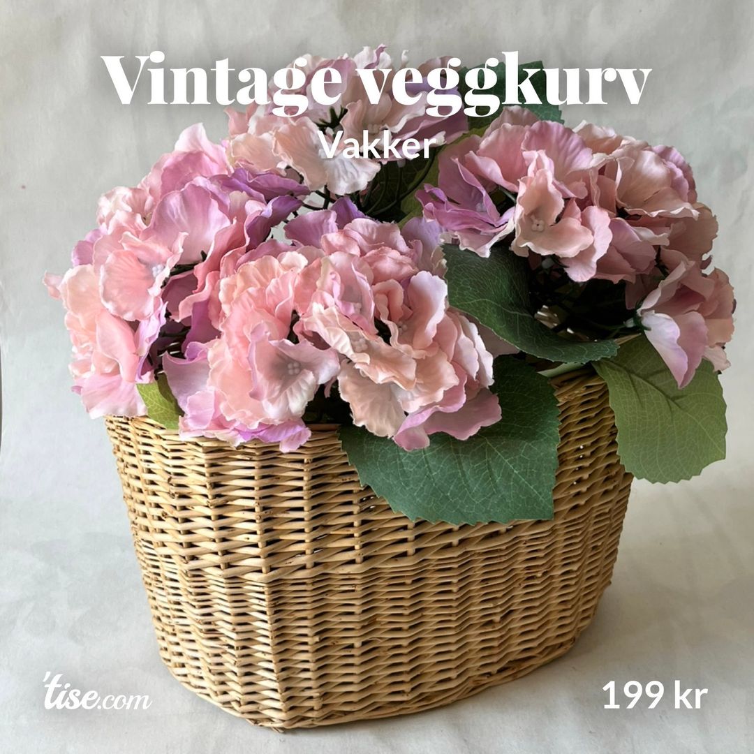 Vintage veggkurv