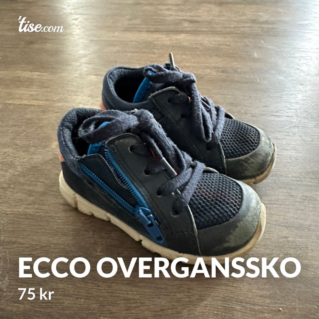 Ecco overganssko