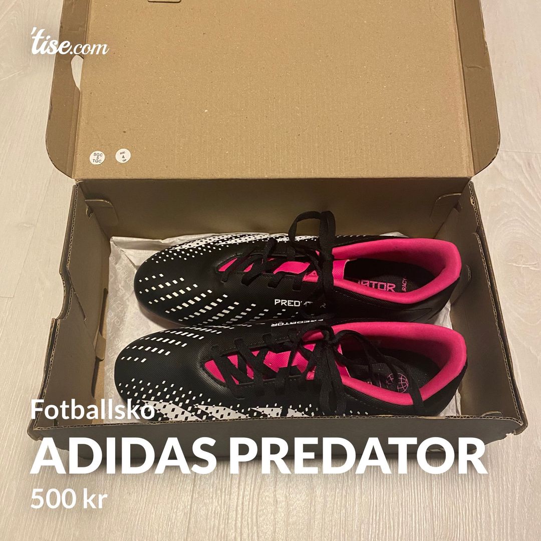 Adidas predator