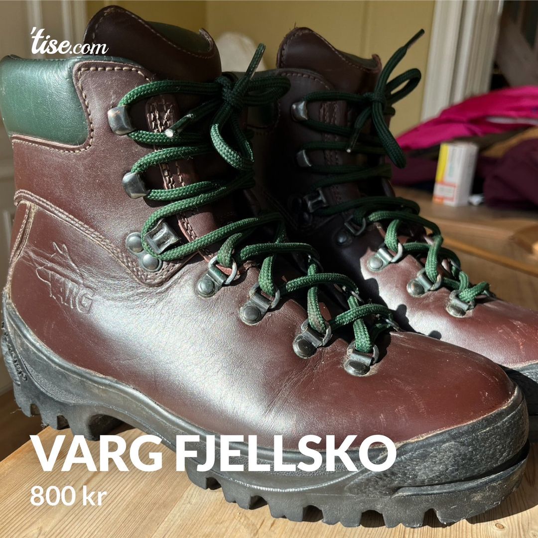 Varg fjellsko