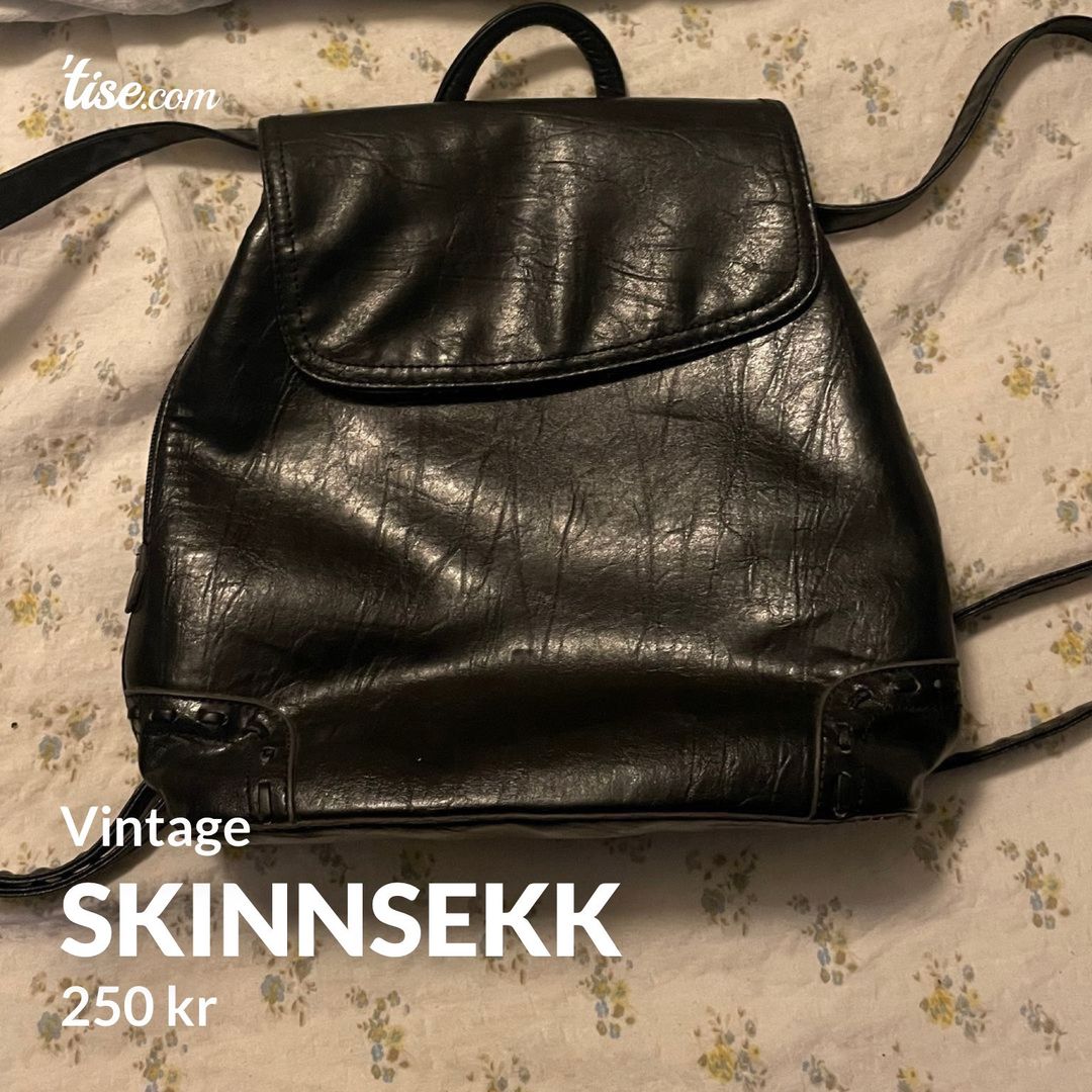 Skinnsekk