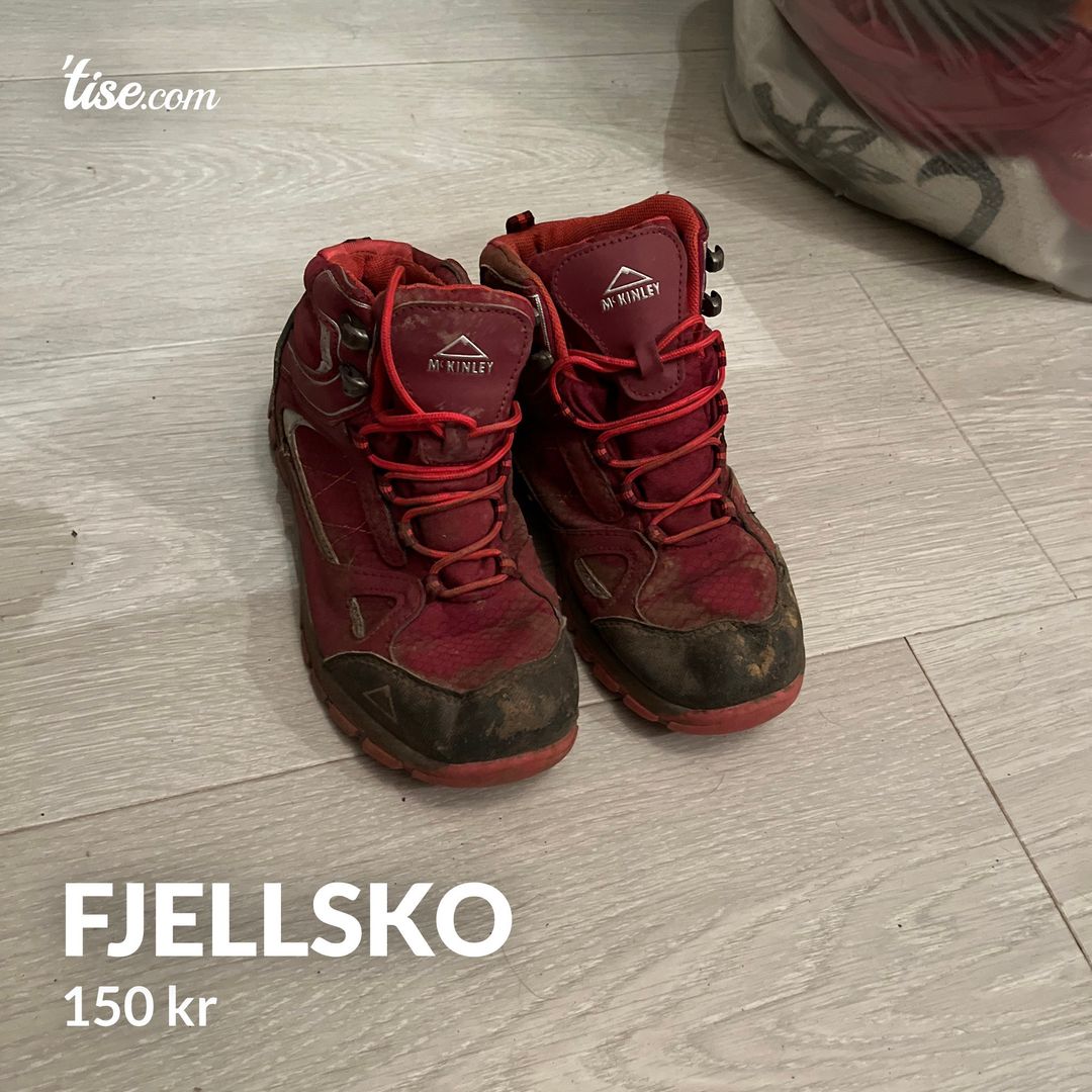 Fjellsko