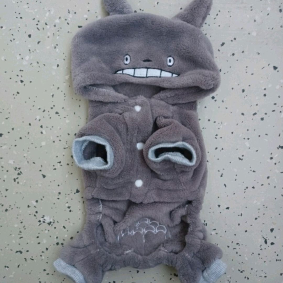 Totoro Asu