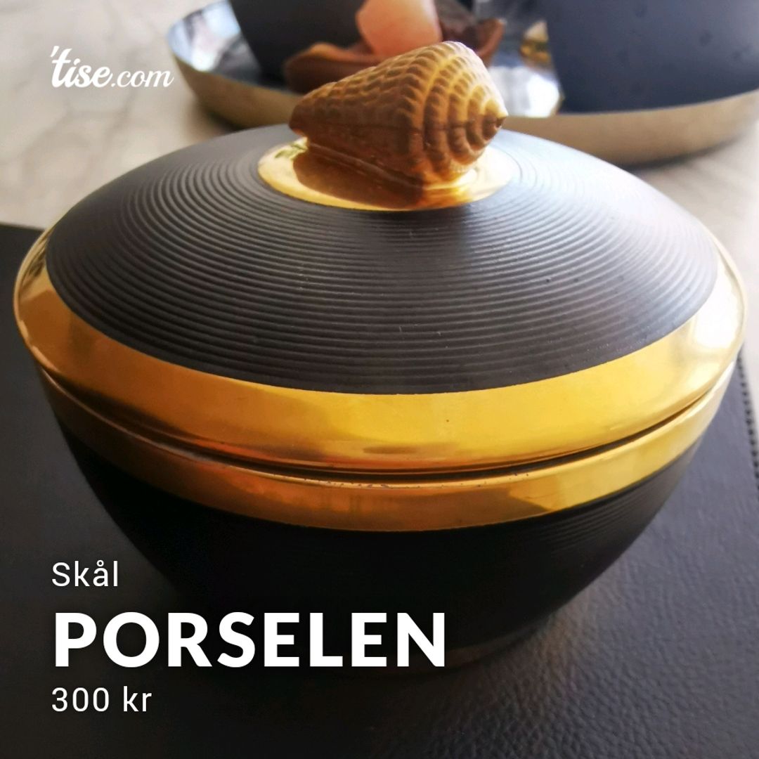 Porselen