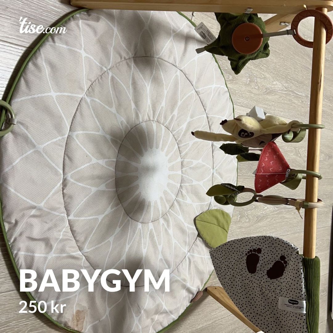 Babygym