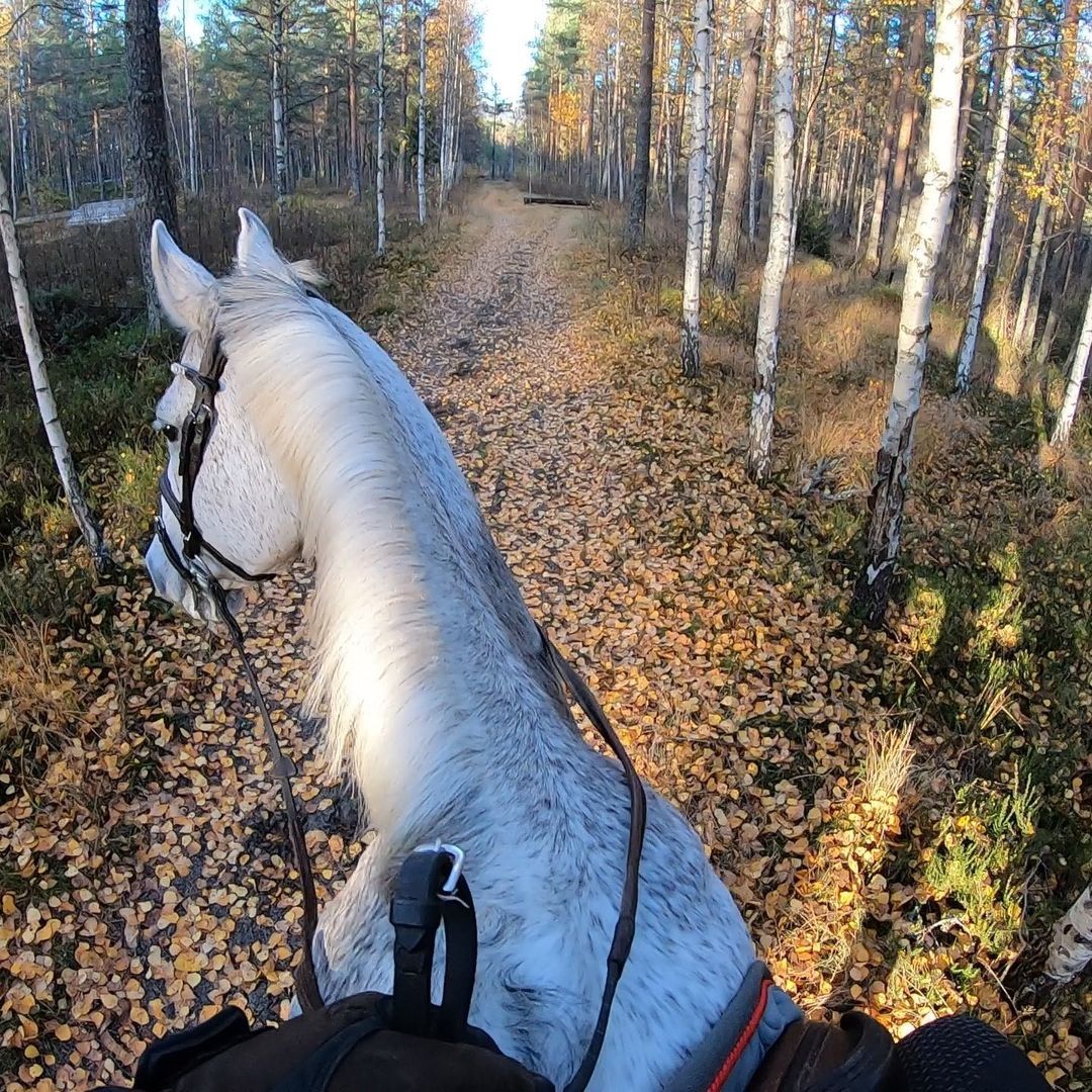 GoPro hero 7 Black