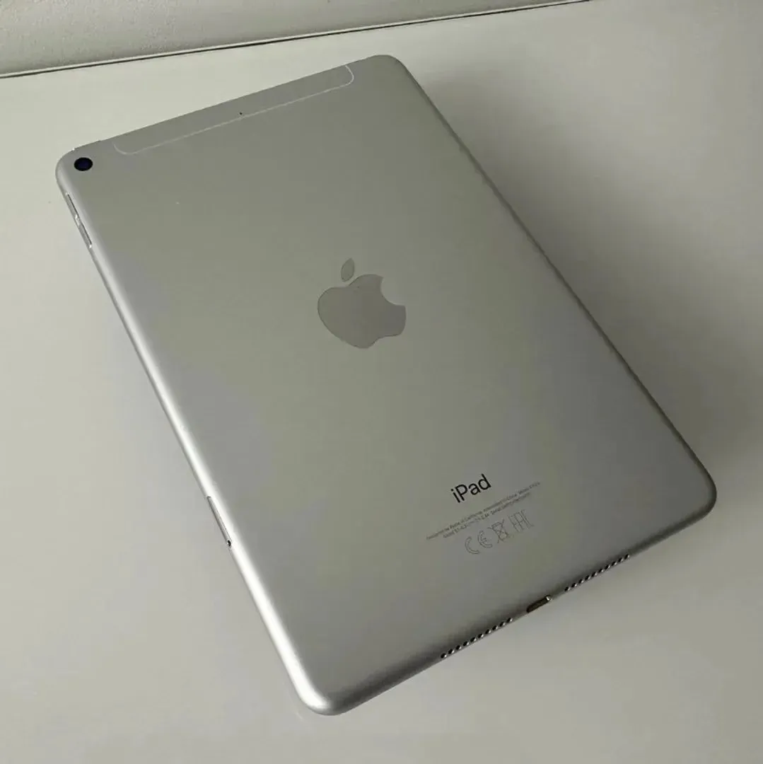 iPad mini 5