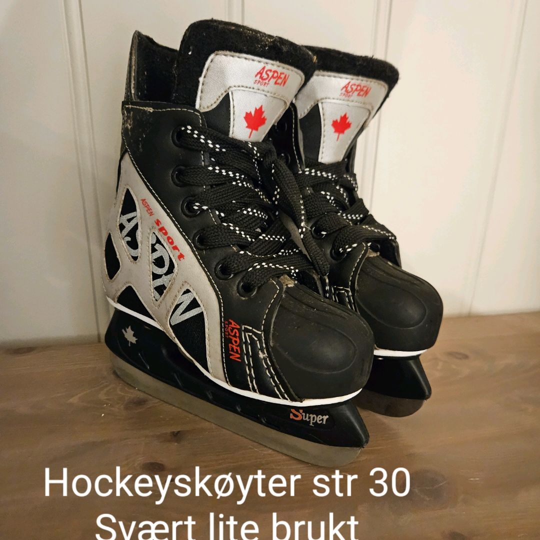 Hockeyskøyter