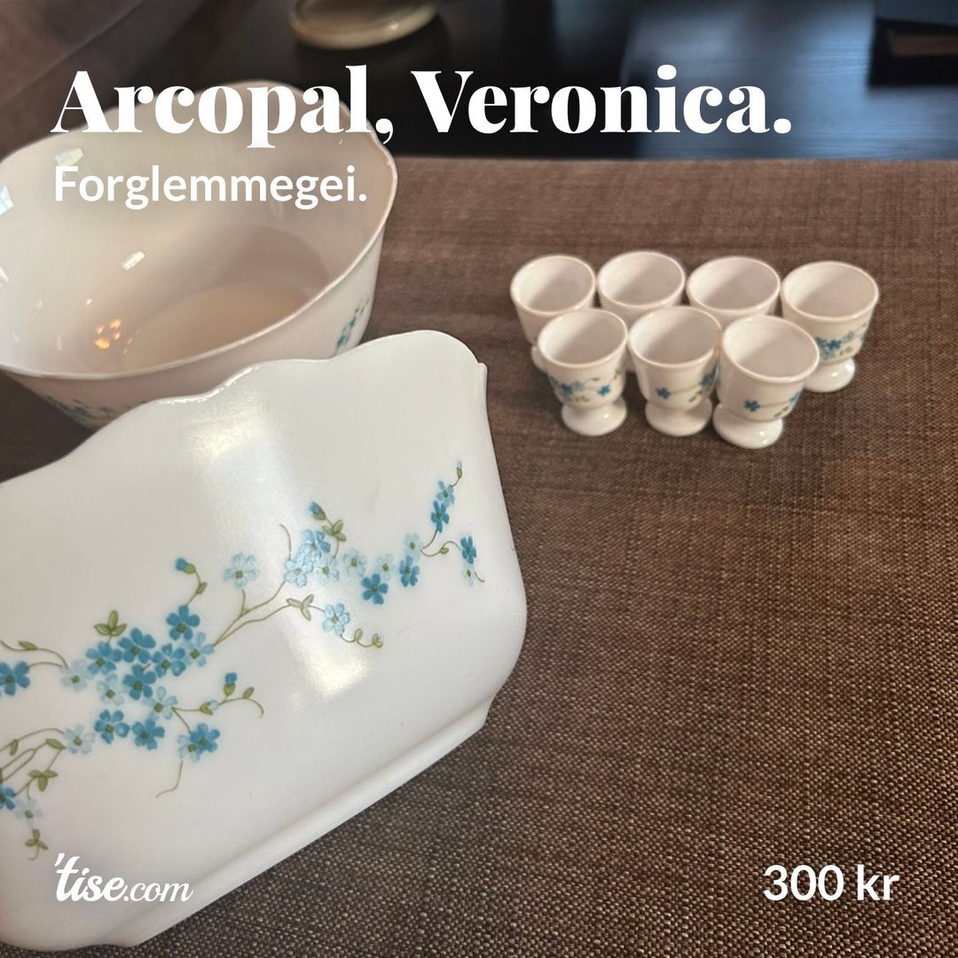Arcopal Veronica