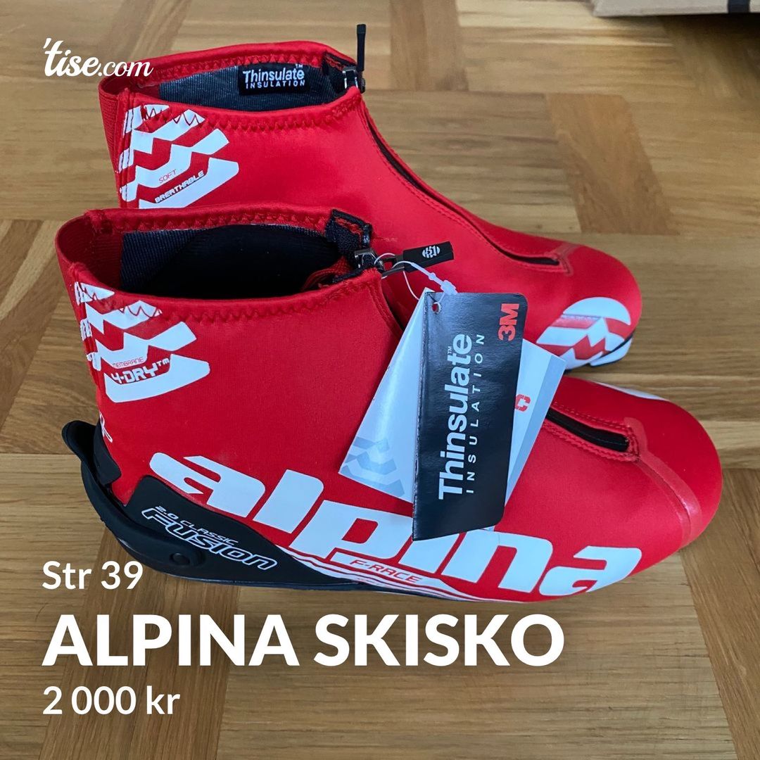 Alpina skisko