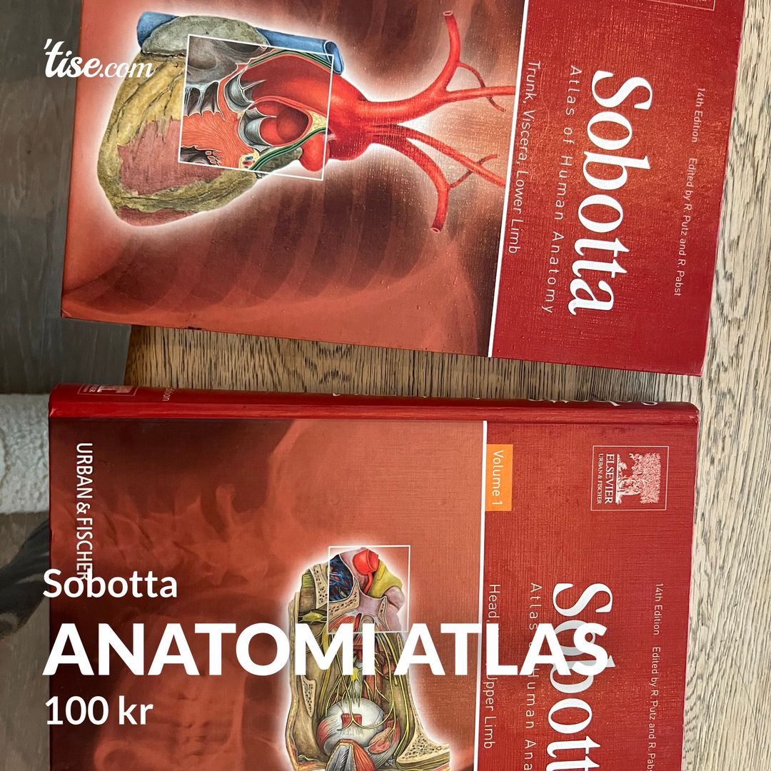 Anatomi Atlas