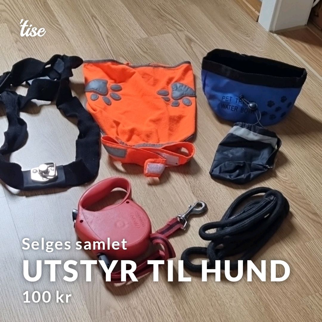 Utstyr Til Hund