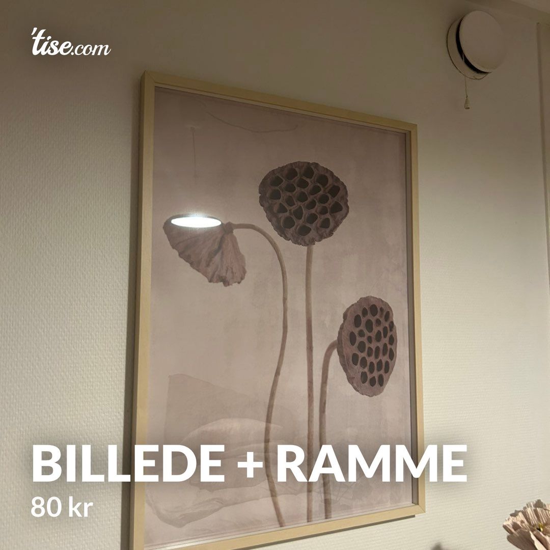 Billede + ramme