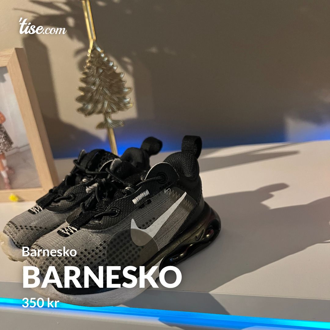 Barnesko