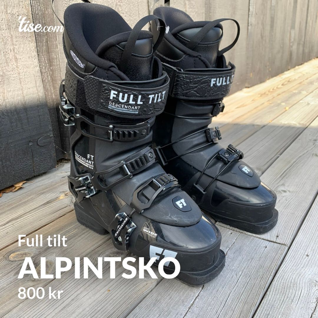 Alpintsko