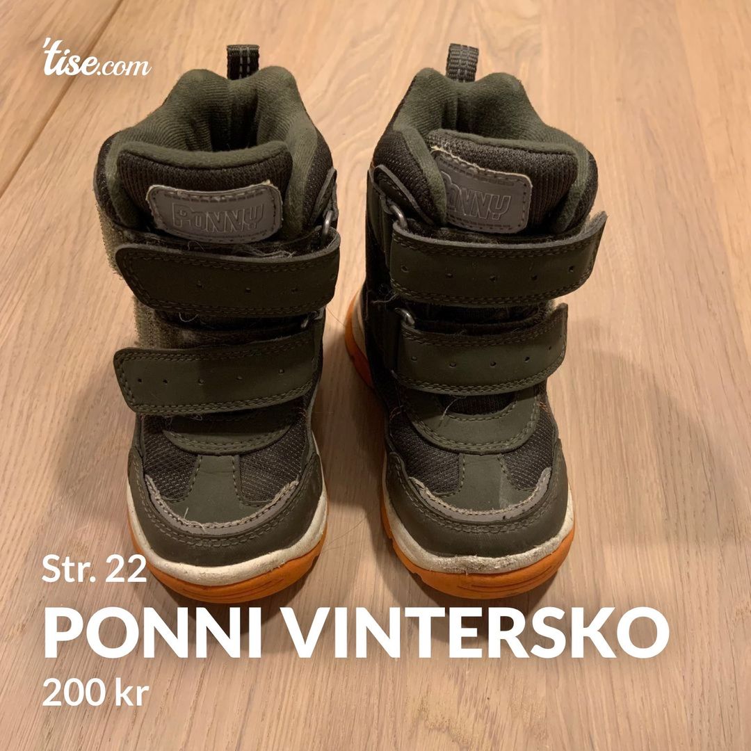 Ponni vintersko