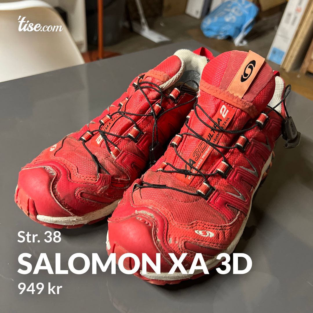 Salomon XA 3D