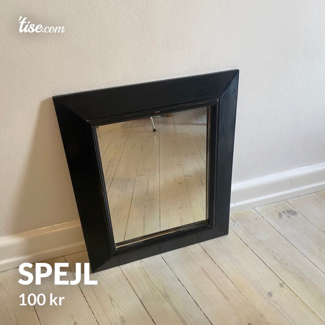 Spejl