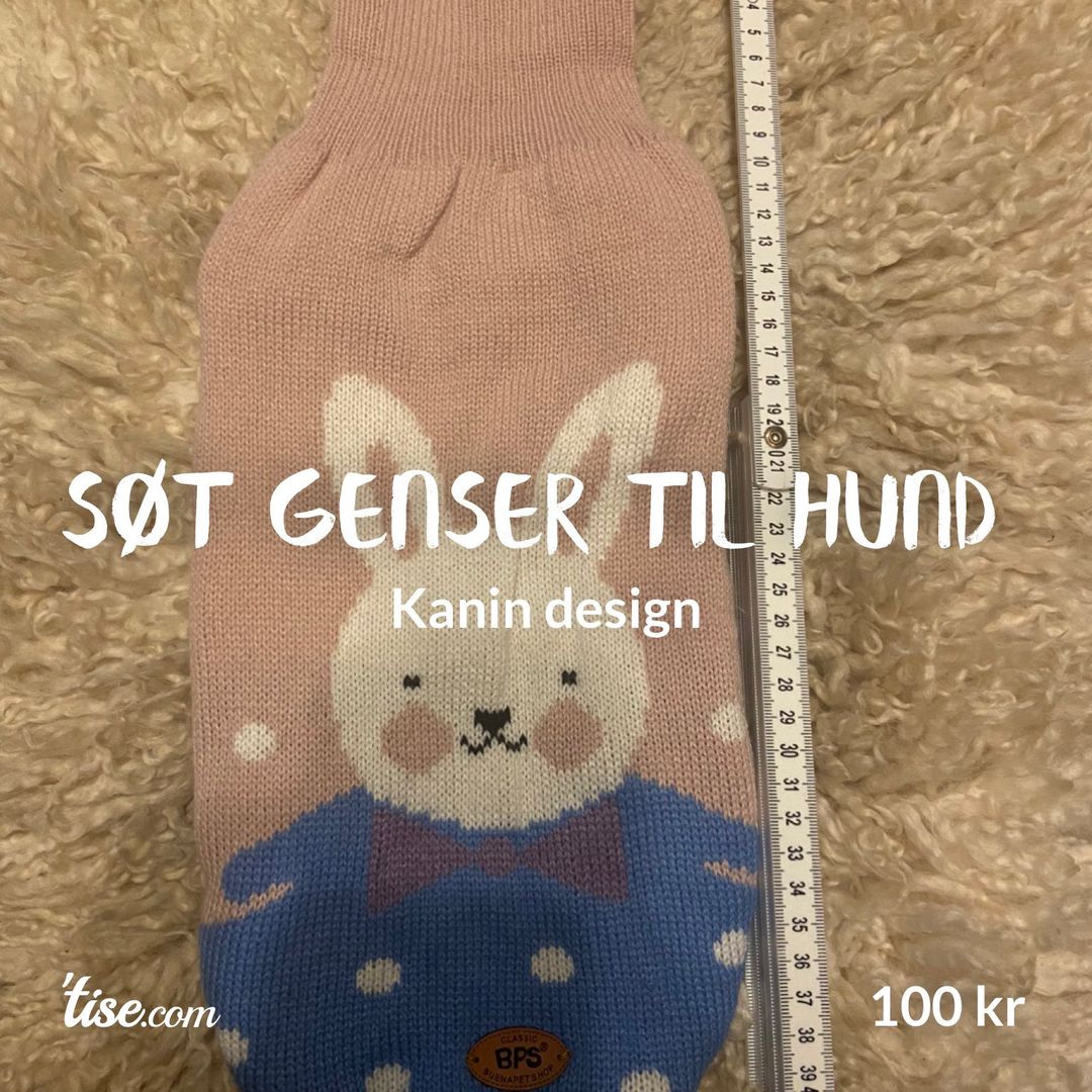 Søt genser til hund