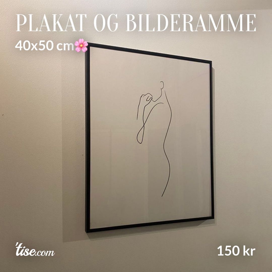 Plakat og bilderamme