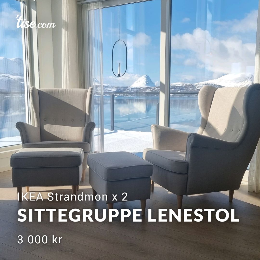 Sittegruppe Lenestol