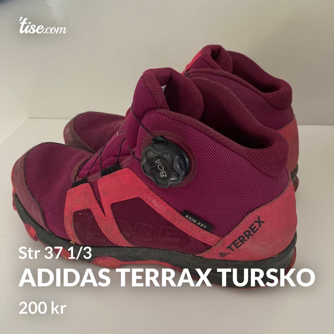 Adidas terrax tursko