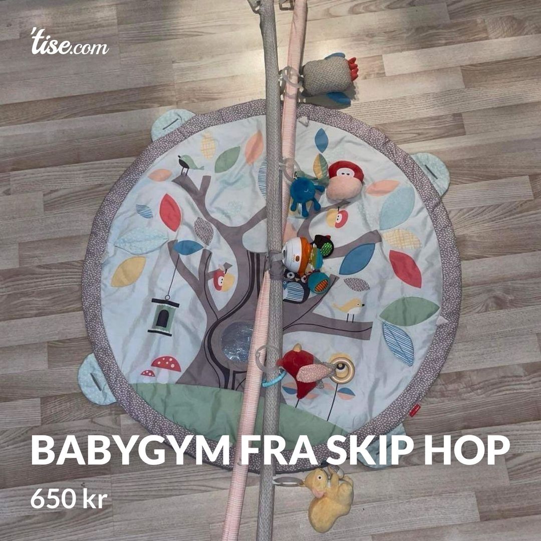 Babygym fra Skip Hop