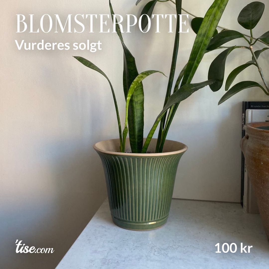 Blomsterpotte