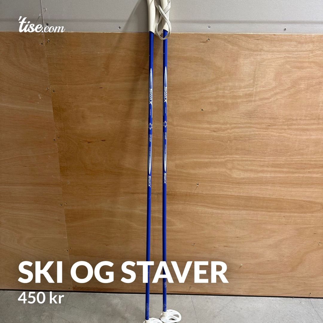 Ski og staver