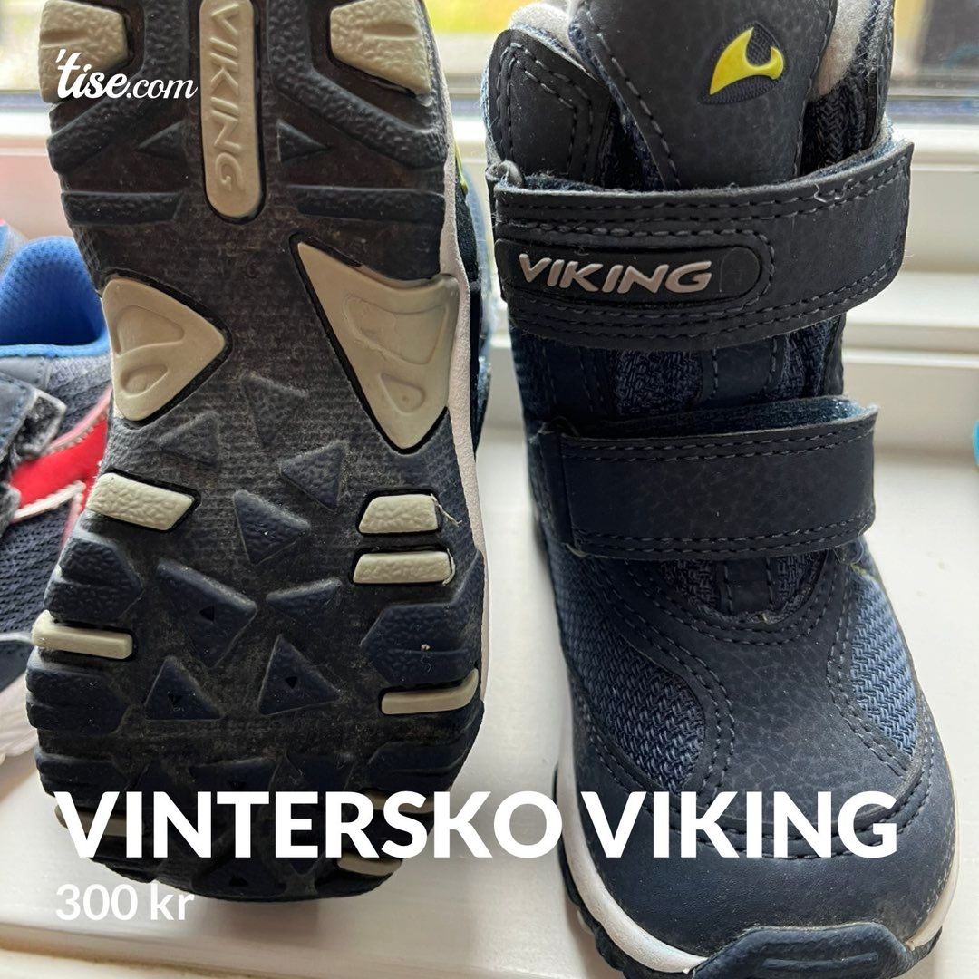 Vintersko Viking