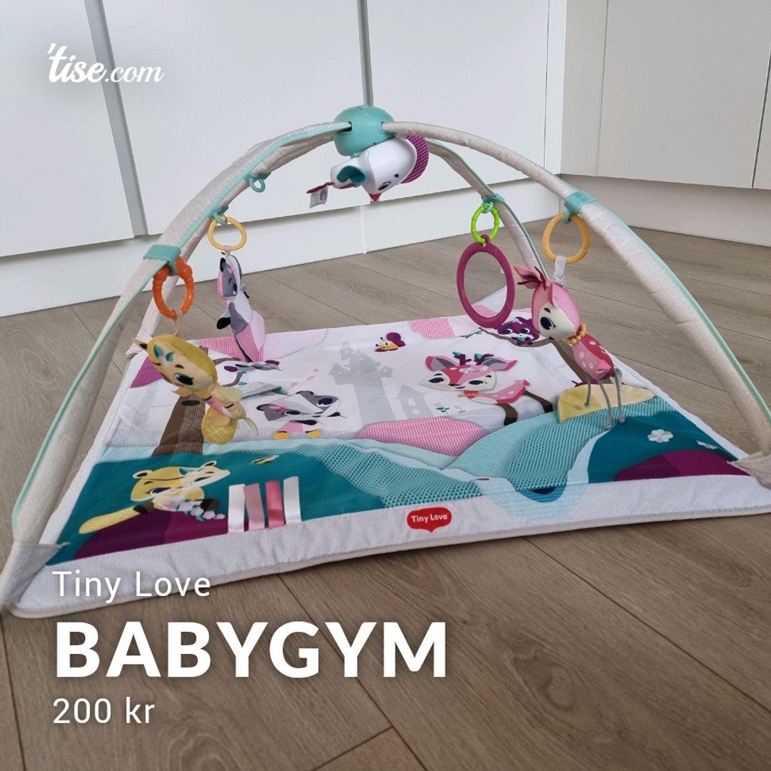 Babygym